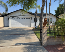 Board and Care in Riverside California 92505 at americawestplacement.com - America West Placement
